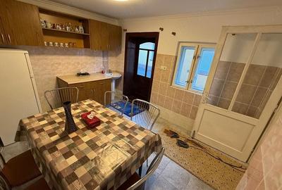 Casă cu Teren 3300 Mp în Bălaia - 8