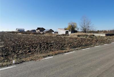 Teren de 3400 mp, în Joița - 4