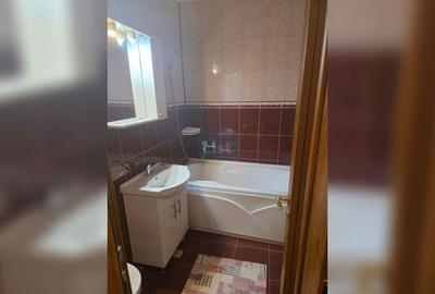 Apartament cu 2 camere semidecomandat, mobilat în Craiovei - 8