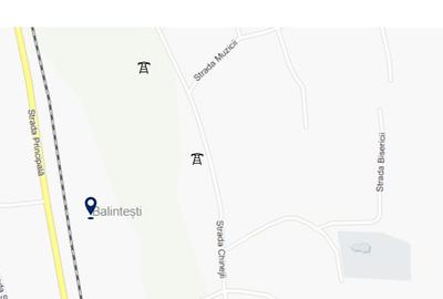 Teren de 700000 mp, în Berești-Meria