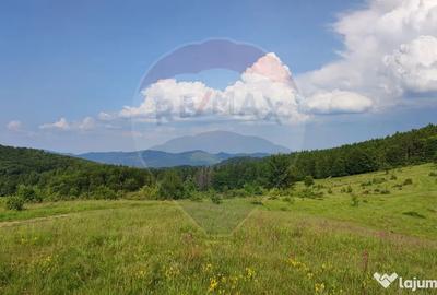 Teren de 128948 mp, în Munteni - 3
