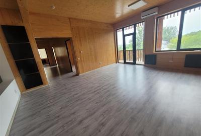 Birou, de 221 mp, în George Enescu - 4