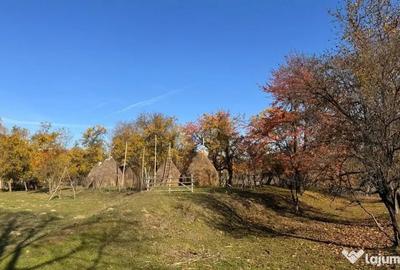 Teren în Sălătrucu