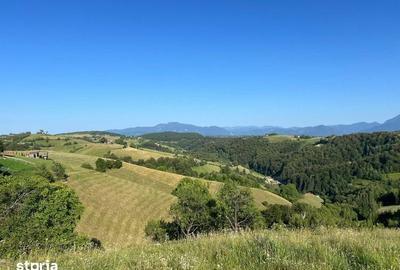 Teren de 2000 mp, în Poiana Mărului - 8