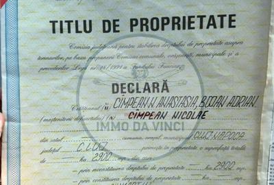 Teren în Sânmărtin - 5