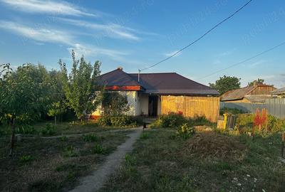 Casă cu 2 camere cu Teren 5000 Mp în Filipești
