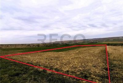 Teren Construcții intravilan de 7251 mp, în Uileacu de Munte - 1
