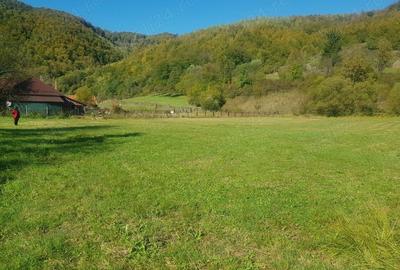 Teren de 4500 mp, în Ciucea - 4