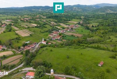 Casă cu 2 camere cu Teren 24494 Mp în Traian Vuia - 3