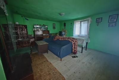 Casă individuală cu 4 camere cu Teren 8700 Mp în Băița - 11