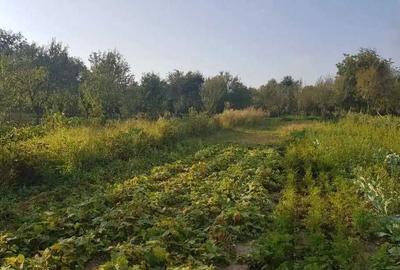 Casă cu 3 camere în Cheud - 1