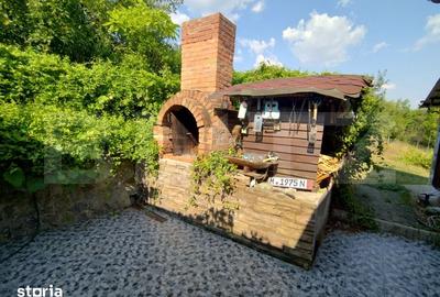 Casă cu 5 camere cu Teren 3400 Mp în Bucovăț - 8