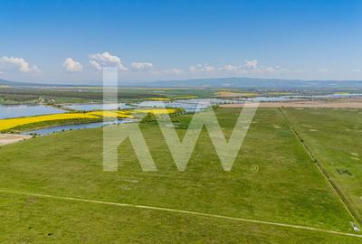 Teren agricol extravilan de 4700 mp, în Codlea - 7