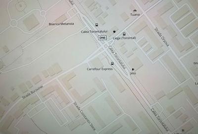 Teren de 10000 mp, în Torontalului