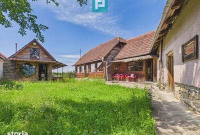 Casă cu 4 camere cu Teren 1485 Mp în Gurahonț - 11