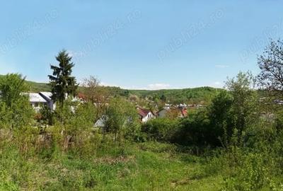 Teren de 2641 mp, în Viforâta - 8