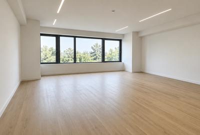 Birou, de 43.490001678467 mp, în Primăverii
