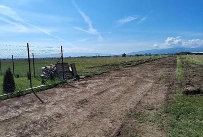 Teren de 444 mp, în Central - 3