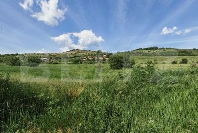 Teren de 4800 mp, în Central