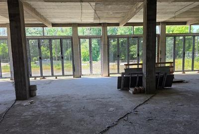 Spațiu comercial, de 800 mp, în Mihail Kogălniceanu - 1
