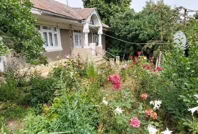 Teren de 8200 mp, în Albești - 5