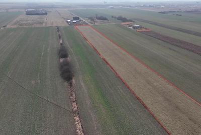 Teren Construcții intravilan de 6590 mp, în Oșorhei - 2