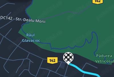 Teren de 7700 mp, în Letca Veche