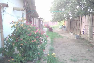 Casă cu 5 camere cu Teren 2800 Mp în Corabia - 8