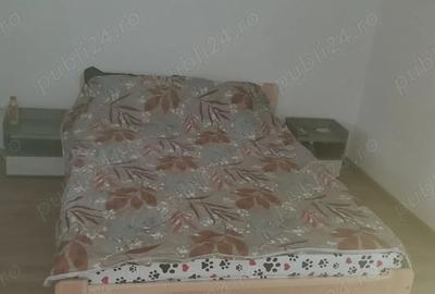 Casă cu 2 camere cu Teren 1500 Mp în Mânzălești - 3