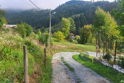 Teren de 1636 mp, în Central - 4
