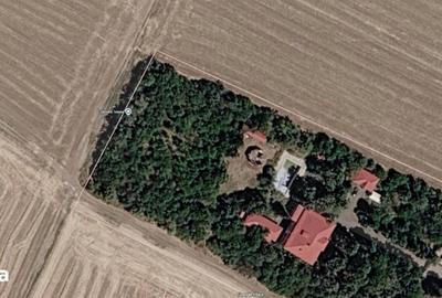 Teren de 4900 mp, în Adunații-Copăceni