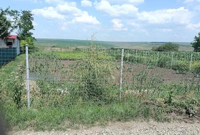 Teren de 2950 mp, în Unțeni - 2