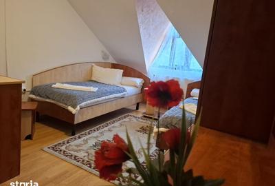 Spațiu comercial, de 830 mp, în Bucium - 1