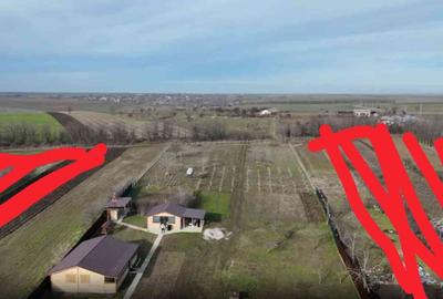 Casă cu 3 camere cu Teren 10000 Mp în Gogoșari