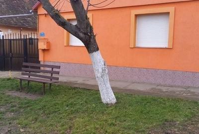 Casă cu 4 camere cu Teren 198 Mp în Giarmata