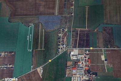 Teren de 11510 mp, în Nojorid - 3