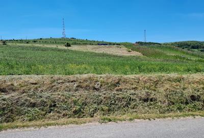Teren extravilan de 3500 mp, în Gheorghieni