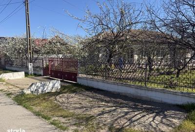 Casă cu 4 camere cu Teren 86 Mp în Coteana - 3