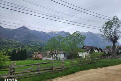 Teren de 2675 mp, în Poiana Țapului - 4