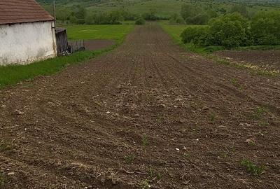 Teren de 4700 mp, în Merghindeal