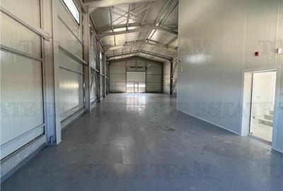 Spațiu industrial, de 420.76000976563 mp, în Domnești - 10