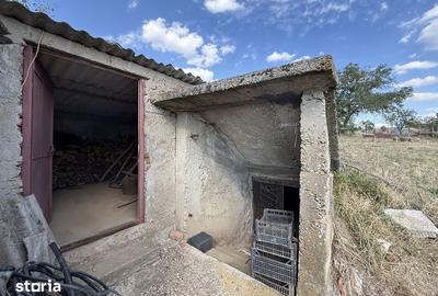 Casă cu 3 camere cu Teren 7981 Mp în Cetariu