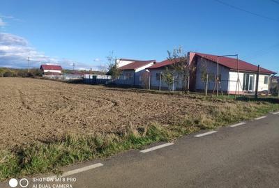 Teren Construcții intravilan de 4015 mp, în Ghermănești - 3