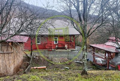 Proprietate specială, de 220 mp, în Bistra Mureșului - 11