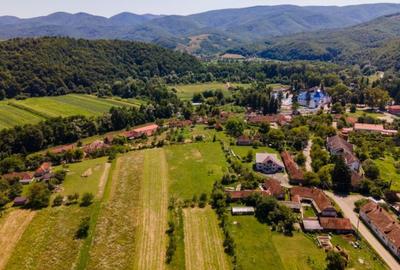 Teren Construcții intravilan de 3525 mp, în Vața de Jos - 3
