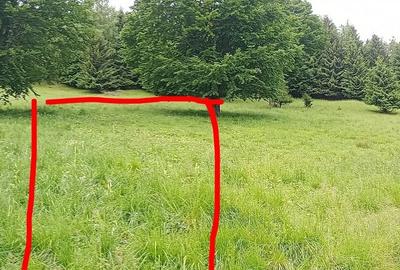 Teren de 500 mp, în Brădățel - 8