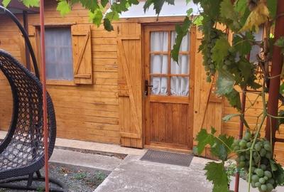 Casă individuală cu 4 camere cu Canalizare în Valu lui Traian - 27
