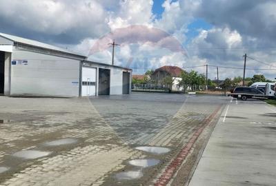 Spațiu comercial, de 100 mp, în Socodor - 8