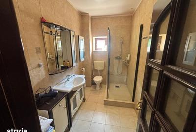 Apartament cu 3 camere decomandat în Copou - 3