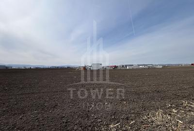 Teren agricol intravilan de 10000 mp, în Exterior Vest - 2